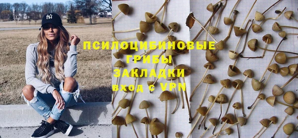 jwh Ладушкин