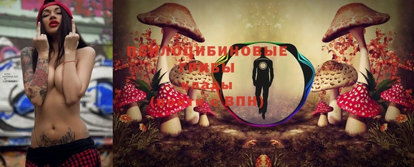 гидропоника Лабытнанги
