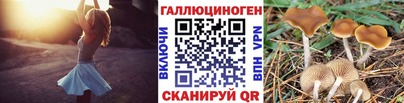 МЕГА зеркало закладки Остров Псилоцибиновые грибы GOLDEN TEACHER